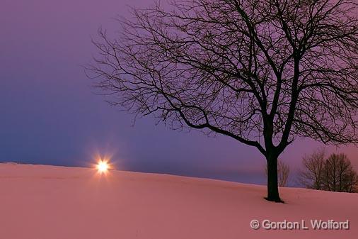 Snowscape At Dawn_12150.jpg - Photographed at Ottawa, Ontario - the capital of Canada.